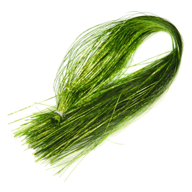 holografisk Chartreuse