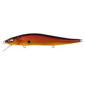 Komorin Copper Shad