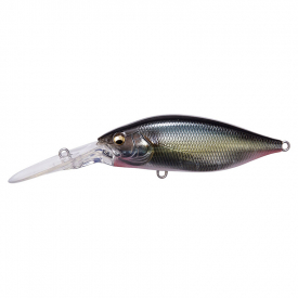 Jukucho Shad