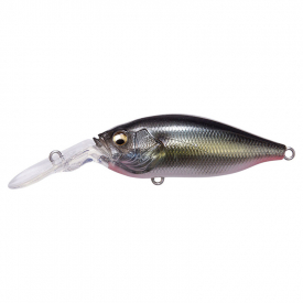 Jukucho Shad