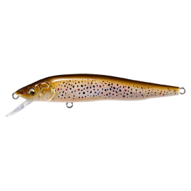 FA Brown Trout