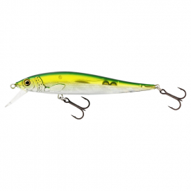 Olive Minnow