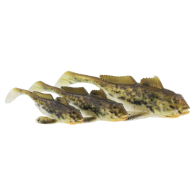 Z-Man TRD GobyZ Esche Da Pesca - 6,1 Cm Goby Bryant, Confezione Da 6, ElaZtech 10X, Per Ned Rig E Smallmouth Bass