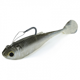 Gizzard Shad