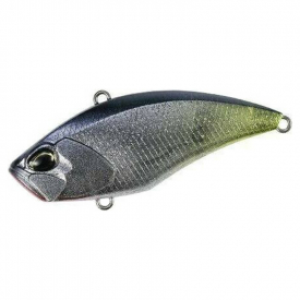 Glitter Shad