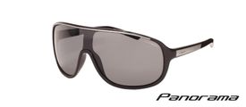 Leech Panorama Black (grey lens)