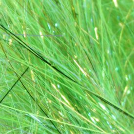 Hot Greenlander Green