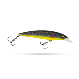 Black perch UV