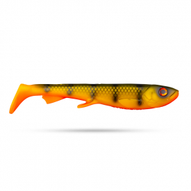 Orange Belly Perch