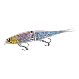 N Gizzard Shad