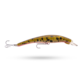 Burbot