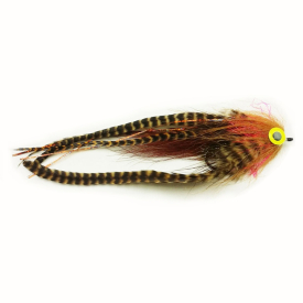 Eelpout