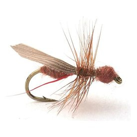Guideline Flying Ant / Myra Cinnamon # 16