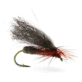 Renaflua Brown - 12