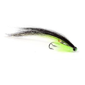 Green Posh Sunray - 12 cm