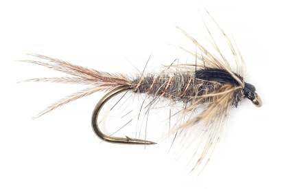 Guideline Squirrel Nymph - # 12