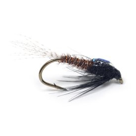 Guideline DK Brown Flashback PTN # 12