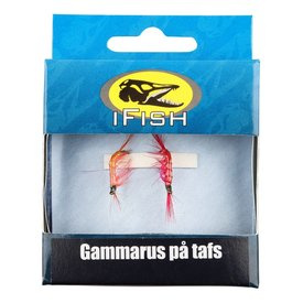 IFISH Gammarus på tafs 2-pack