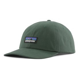 Patagonia P-6 Label Trad Cap CNGR