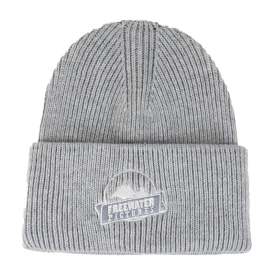 Freewater Pictures Beanie - Grey