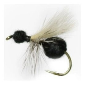 CDC Ant Black # 12