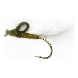 CDC Kläckare # 12