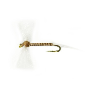 Quill Spent Natural # 12