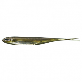 Fish Arrow Flash J Split 4'' (6-pack) - #06 Kosan Ayu/Silver