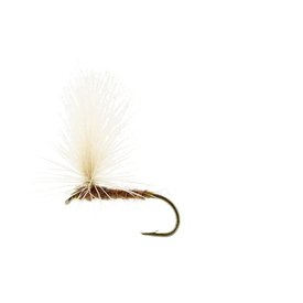Aurivilli Dun Ginger TMC100 #12