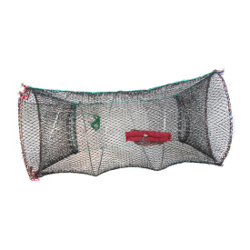 Kräftmjärde H=60cm B=32cm