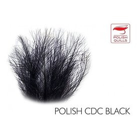 Polish Quill CDC Black