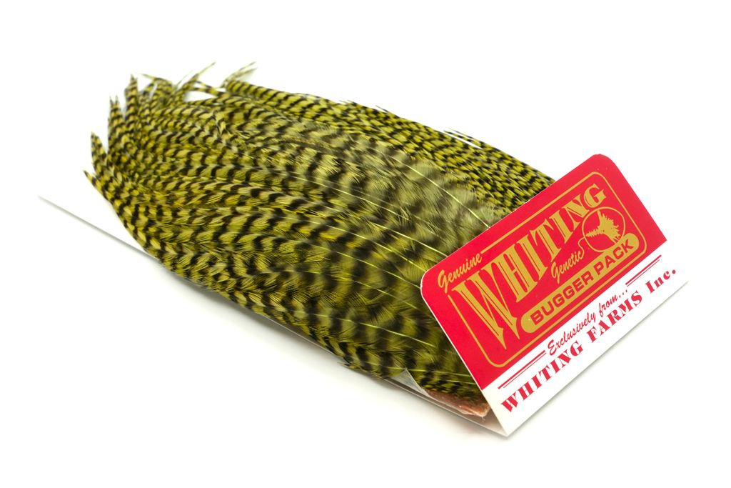 Whiting Bugger Pack Grizzly dyed Olive