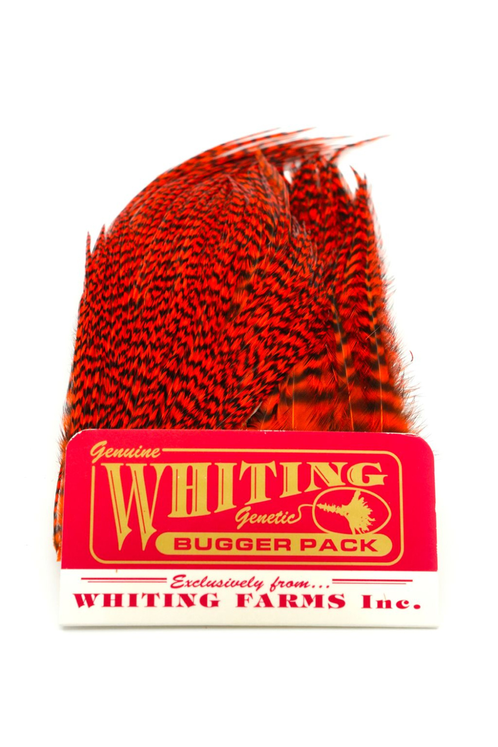 Whiting Bugger Pack Grizzly dyed Orange