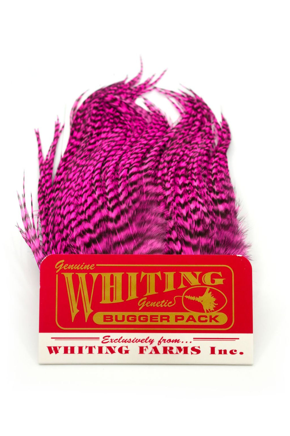 Whiting Bugger Pack Grizzly dyed Pink