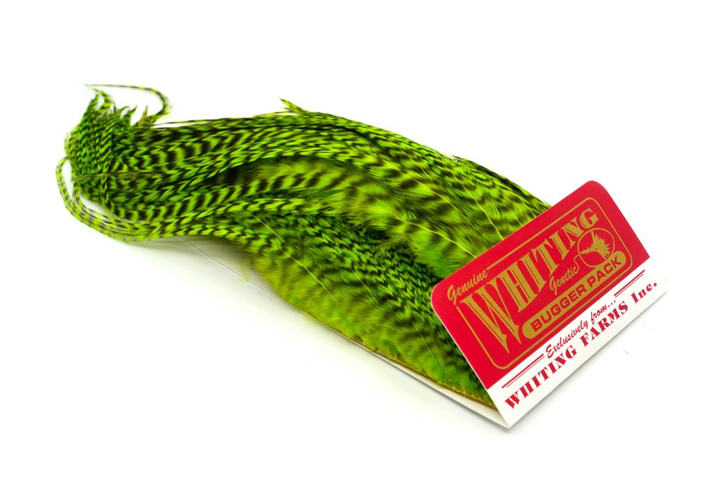 Whiting Bugger Pack Grizzly dyed Fl. Green Chartreuse