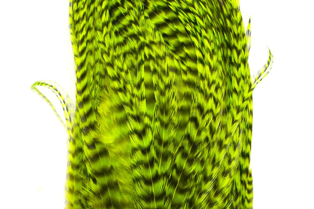 Whiting Bugger Pack Grizzly dyed Fl. Green Chartreuse