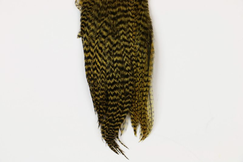 Whiting Bugger Pack Grizzly dyed Golden Olive