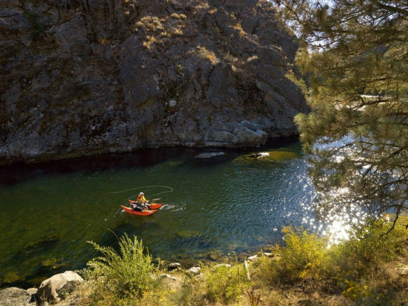 Fish Cat Streamer XLIR Orange Sportfiskeprylar.se