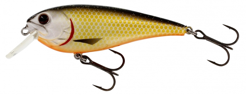 Westin BassBite Squarebill Floating 7 Cm (16 G) - Esca Crankbait Con Pala Quadrata - Colore Official Roach