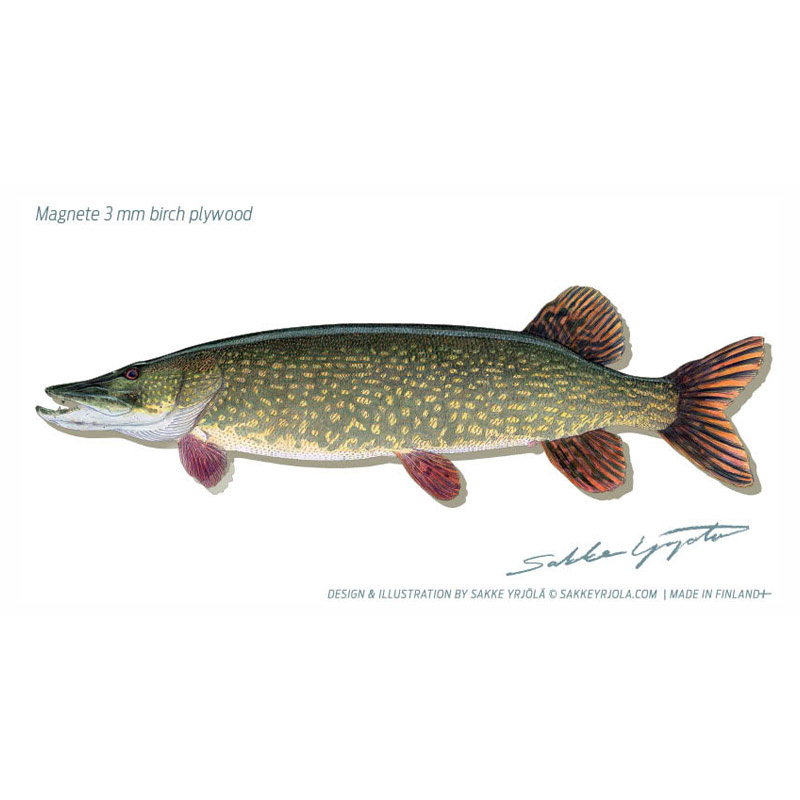 Magnets Pike 11cm